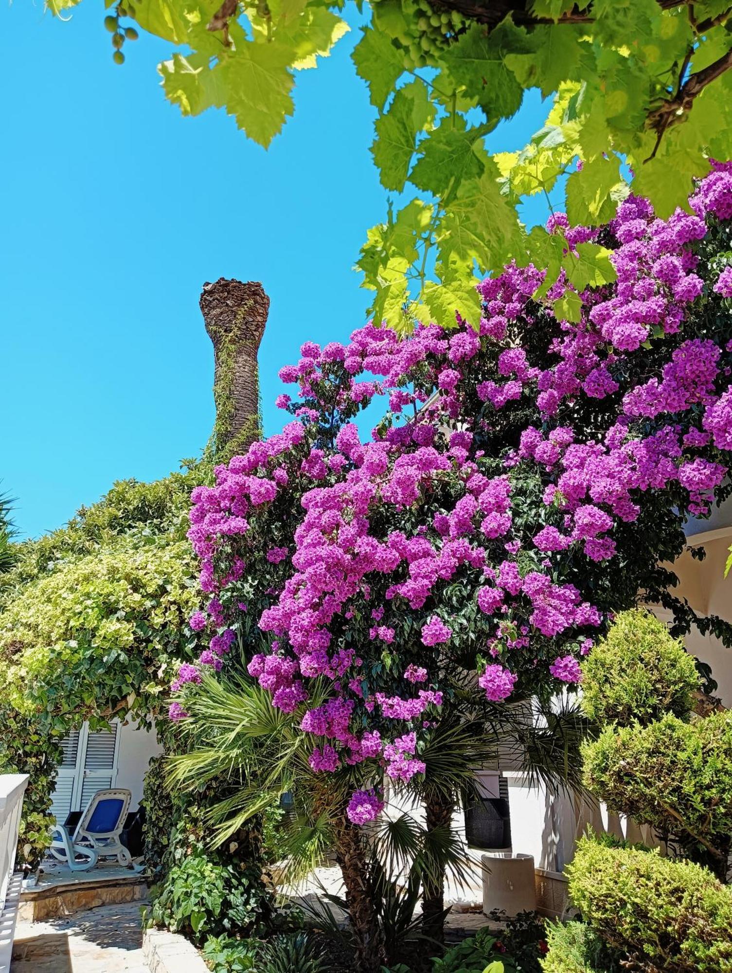 Villa Aspalathos Kaštela Buitenkant foto